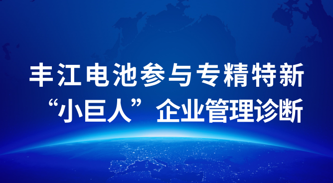 政府赋能促提升!丰江电池参与专精特新“小巨人”企业管理诊断